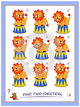 Logic puzzle game for children and adults. Find two identical tigers. Printable page for kids brain teaser book. IQ test. Flat