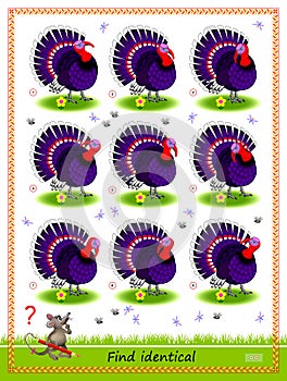 Logic puzzle game for children and adults. Find two identical turkeys. Printable page for kids brain teaser book.