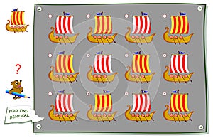 Logic puzzle game for children and adults. Find two identical Viking ships. Printable page for kids brain teaser book. photo