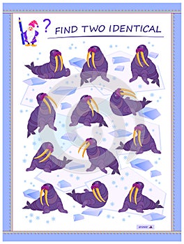 Logic puzzle game for children and adults. Find two identical walruses. Memory exercises for seniors. Page for kids brain teaser