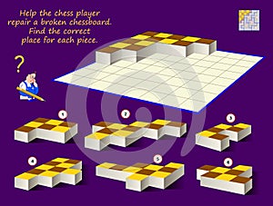 Logic puzzle game for children and adults. Help the chess player repair broken chessboard. Find correct place for each piece.