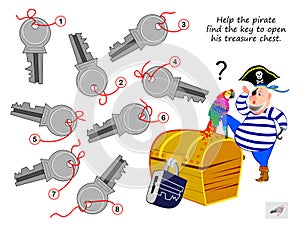 Logic puzzle game for children and adults. Help the pirate find the key to open his treasure chest.