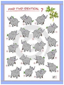 Logic puzzle game for children and adults. Need to find two identical elephants. Printable page for kids brain teaser book. photo
