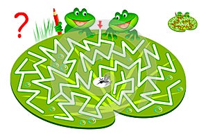 Logic puzzle game with labyrinth for children and adults. Help two hungry frogs find way to mosquito and draw the line.