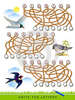 Logic puzzle game for study English with maze. Find correct places and write the letters. Read the words. Learn names of birds.