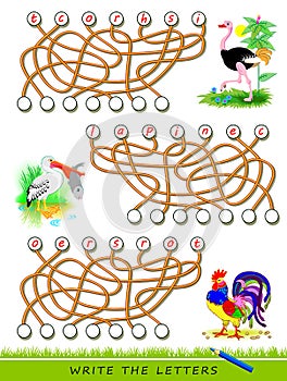 Logic puzzle game for study English with maze. Find correct places and write the letters. Read the words. Learn names of birds.