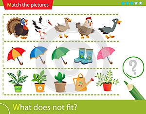 Logic puzzle for kids. What does not fit? Farm bird or poultry. Umbrellas. Indoor plants. Education game for children. Worksheet