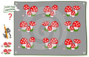 Logical puzzle game for children and adults. Find two identical images of mushrooms. Printable page for brainteaser book.