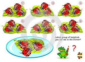 Logical puzzle game for children and adults. Which group of ladybirds you can see in the mirror?