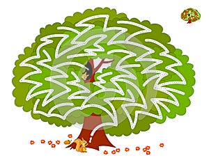 Logical puzzle game with labyrinth for children and adults. Help the squirrel find way in the tree till his friend.