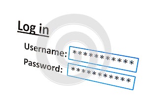 Login on a website in the internet