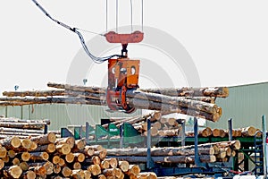 Loglift crane offloading log truck