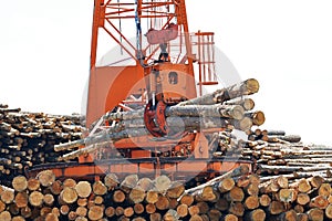 Loglift crane transferring logs to log stack photo