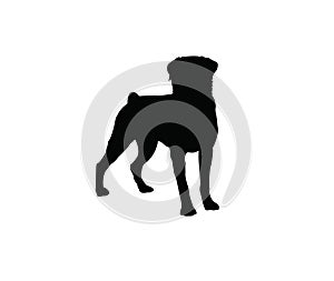 Dog silhouette on siolated background