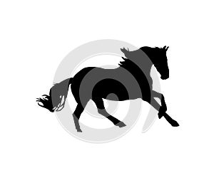 Running Horse silhouette. Black and white