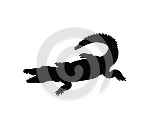 Crocodile vector illustration. Silhouette . EPS format