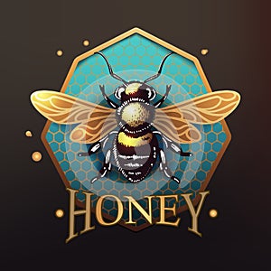 Logo bee sitting on honeycomb, colorful modern vector illustration