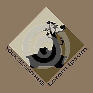 Logo of Bonsai tree, silhouette of bonsai, Detailed image, Vector illustration.
