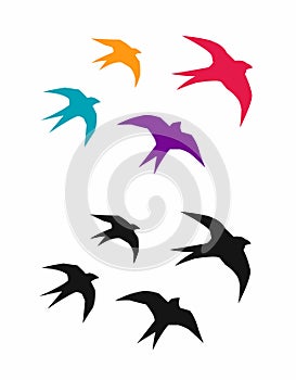 Logo colorful birds swallows silhouette flying. Vector illustration
