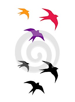 Logo colorful birds swallows silhouette flying. Vector illustration