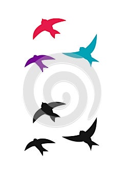 Logo colorful birds swallows silhouette flying. Vector illustration