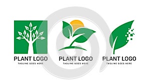 Logo design for agriculture or gardening