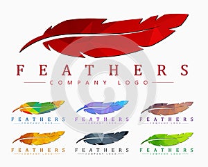 Logo design with bird feather. Abstract polygonal element