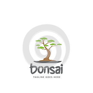 Logo design with bonsai idea