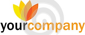 Logo design your company photo