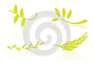 Logo elements leafs - vector photo