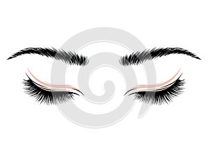 Logo eyelashes. The eyes of the girl with makeup. Vector illustration of eyebrows and eyelashes. Figure for a beauty