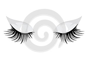 Logo of eyelashes. Stylized hair. Abstract lines of triangular shape. Black and white vector illustration.