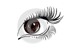 Logo of eyelashes. Stylized hair. Abstract lines of triangular shape. Black and white vector illustration.