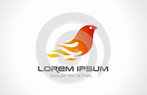 Logo Fire Flame Bird abstract icon. Phoenix concep