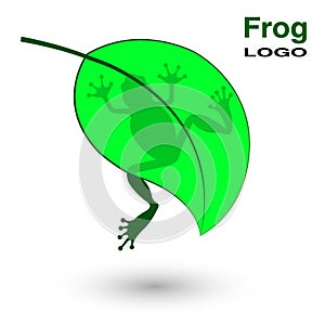 Logo with a frog on a bright green leaf.