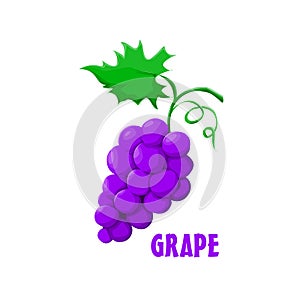 Logo Grape farm design