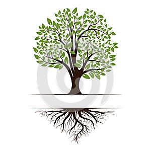 Logo of a green life tree with roots and leaves. Vector illustration icon isolated on white background