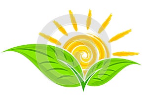 Logo of green plant with sun. photo