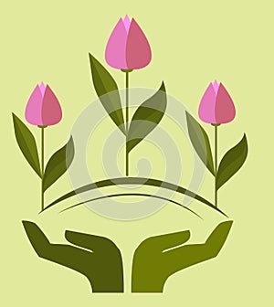 Logo, hands holding tulips, helping hand, spring flowers