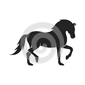 Logo illustration of a horse running gracefully.