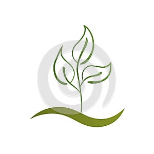 Logo leaf health nature business card