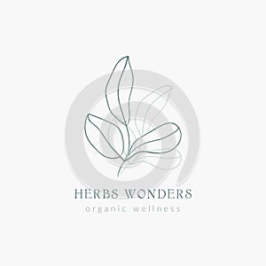 Logo template with line drawing leaves illustraton