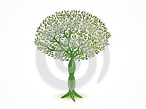 Logo tree leaves ecology symbol vector icon