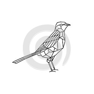 Logo vector illustration of birds using line art
