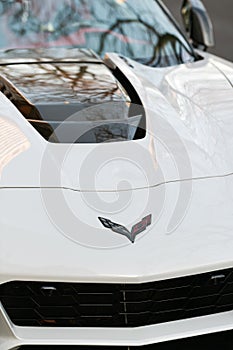 The logo of a white Corvette speed car. Colloquially known as the `Vette