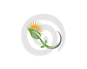 Logos of green leaf ecology nature element vector icon