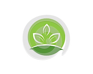 Logos of green leaf ecology nature element vector icon