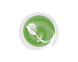 Logos of green leaf ecology nature element vector icon