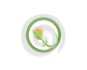 Logos of green leaf ecology nature element vector icon