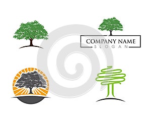 Logos of green leaf ecology nature